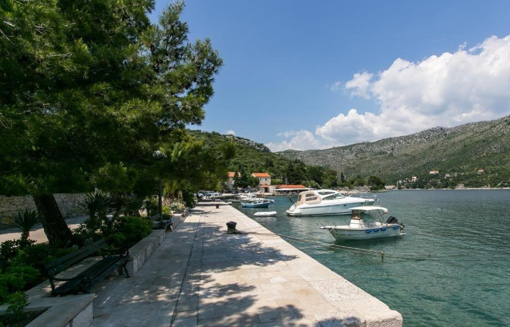 Guest House Zaton - Zaton Veliki Dış mekan fotoğraf