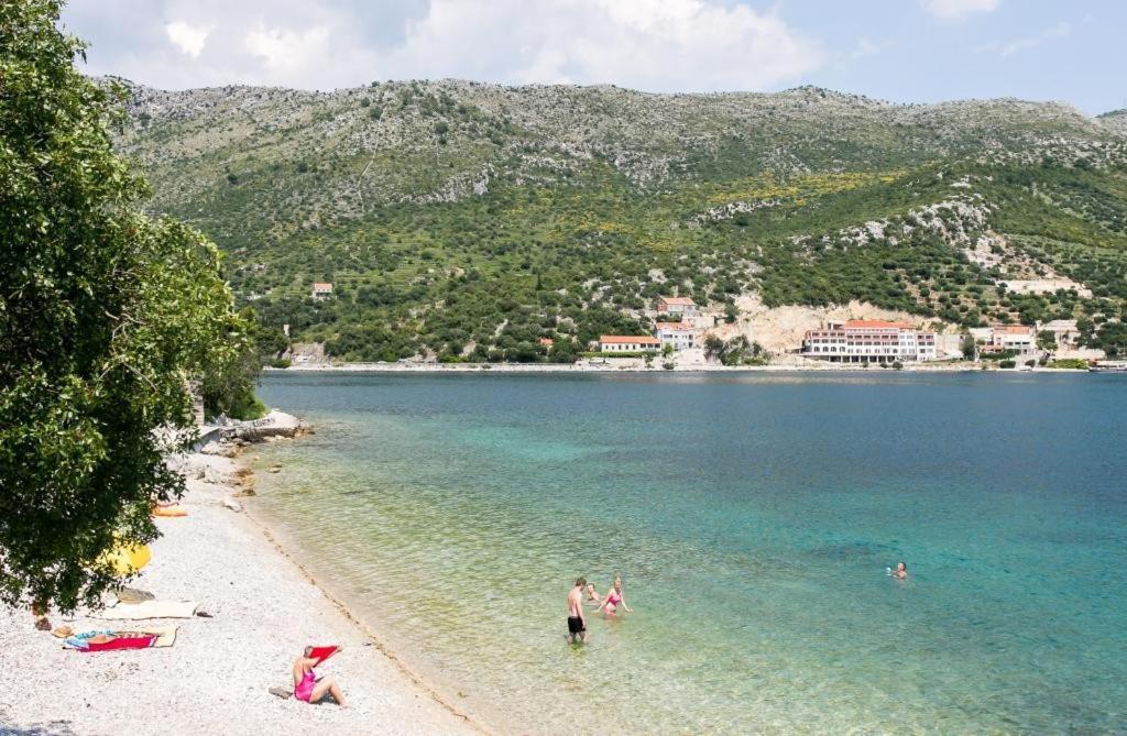 Guest House Zaton - Zaton Veliki Dış mekan fotoğraf