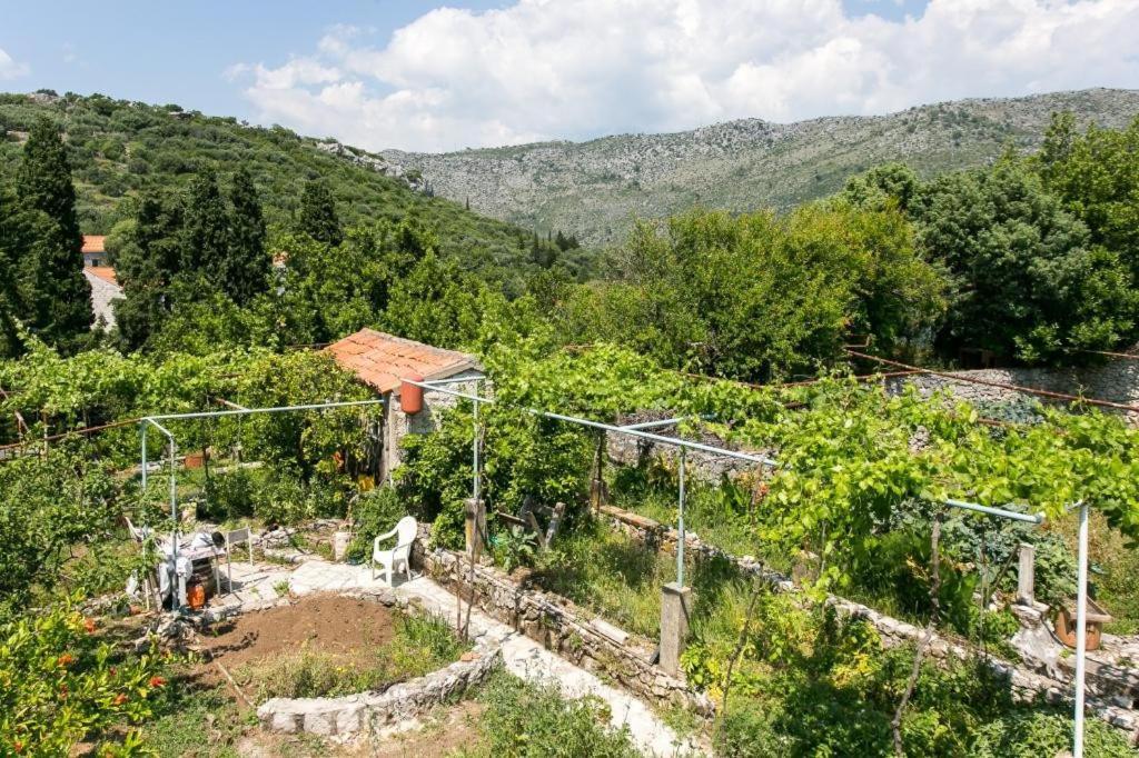 Guest House Zaton - Zaton Veliki Dış mekan fotoğraf