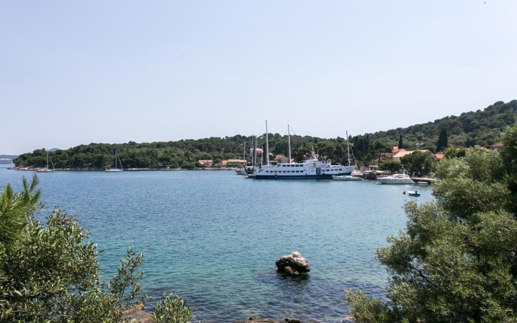 Guest House Zaton - Zaton Veliki Dış mekan fotoğraf